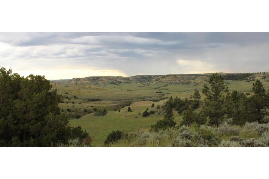 Fence Creek North for Sale in Clearmont, WY Sheridan County Farm