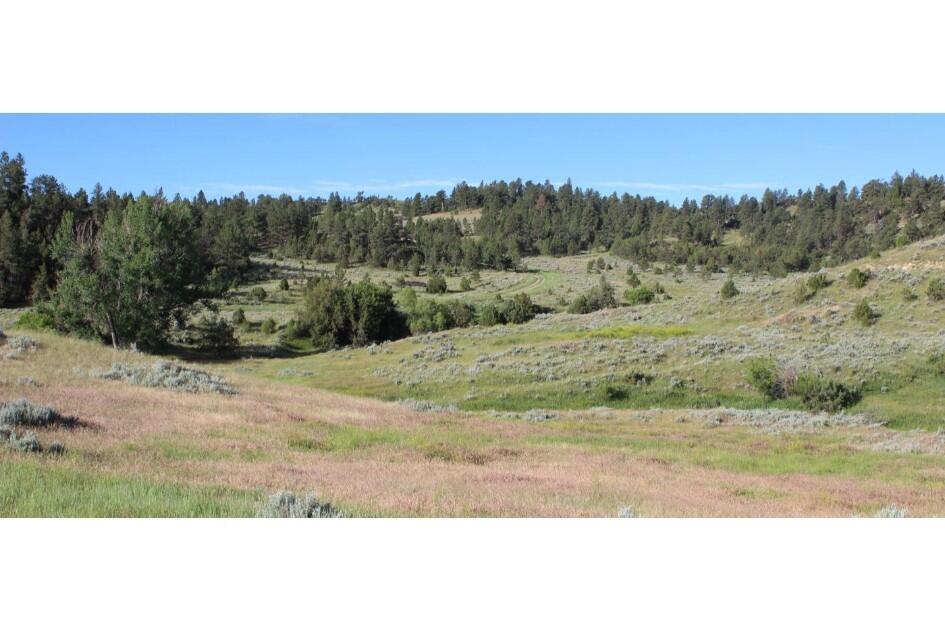 Sawmill Ranch for Sale in Clearmont, WY Sheridan County Farm & Ranch
