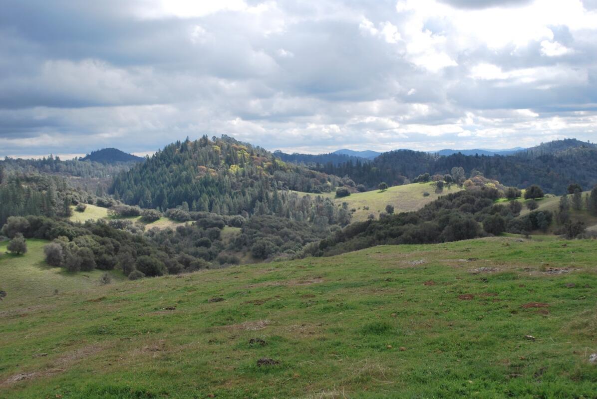 Cool Ranch 593 Acres for Sale in Cool, CA El Dorado County Farm & Ranch
