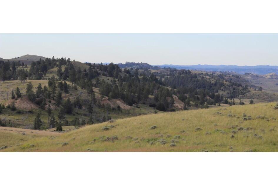 Fence Creek North for Sale in Clearmont, WY Sheridan County Farm