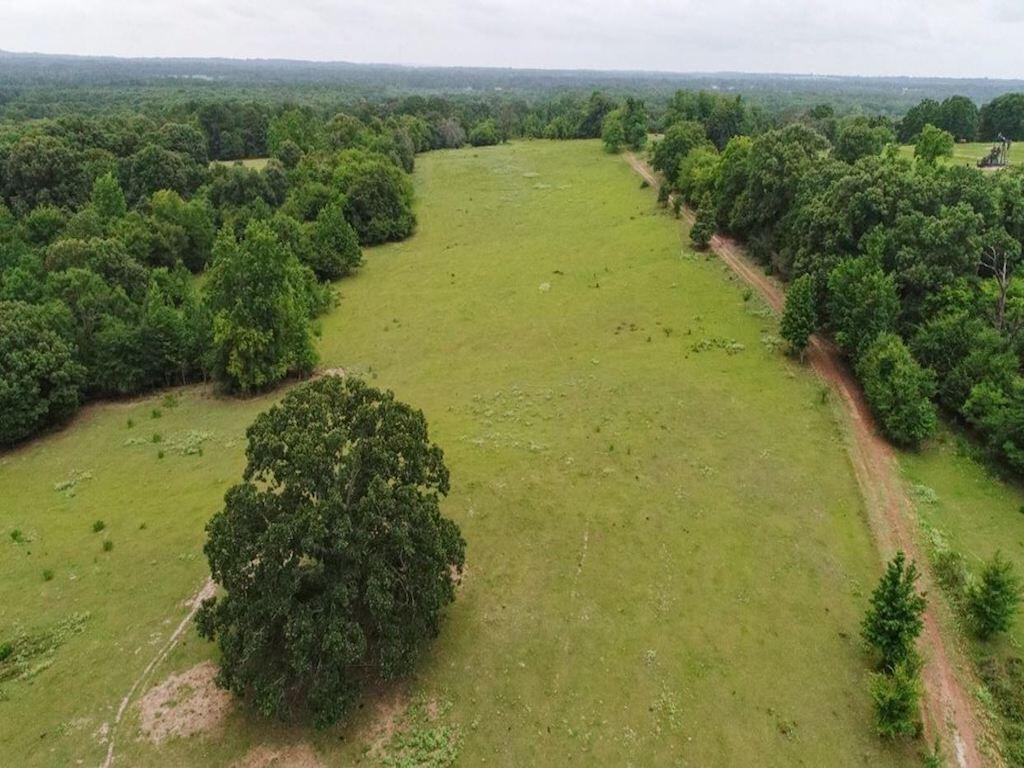 Great Grazing & Recreational Property Near Tyler for Sale in Brownsboro
