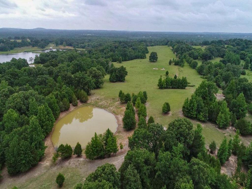Great Grazing & Recreational Property Near Tyler for Sale in Brownsboro