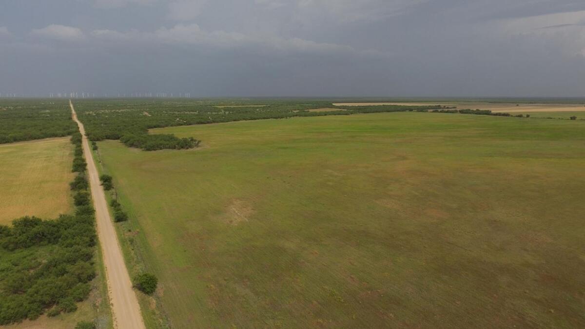 169.6 Acres Shackelford County for Sale in Lueders, TX Shackelford