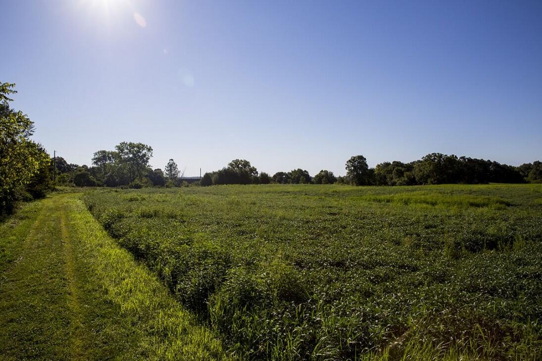 River Bend Farm for Sale in Ramsey, IL Fayette County Farm & Ranch