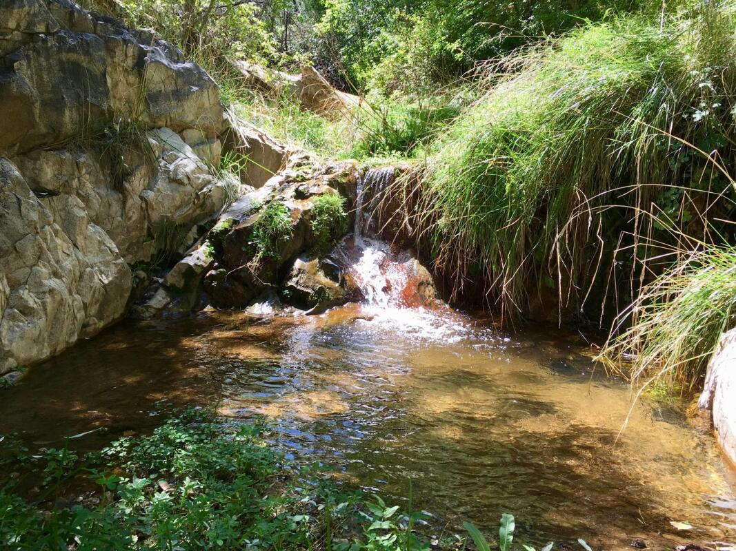 Cherry Ranch for Sale in Cherry, AZ Yavapai County Farm & Ranch