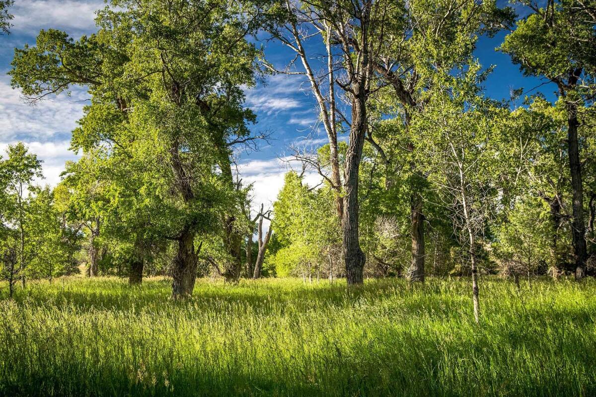 Big Timber Creek Ranch for Sale in Big Timber, MT Sweet Grass County Farm & Ranch