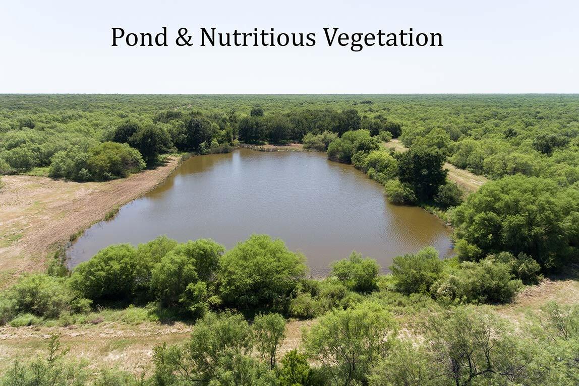 MYANE RANCH Zavala County Texas for Sale in Crystal City, TX Zavala