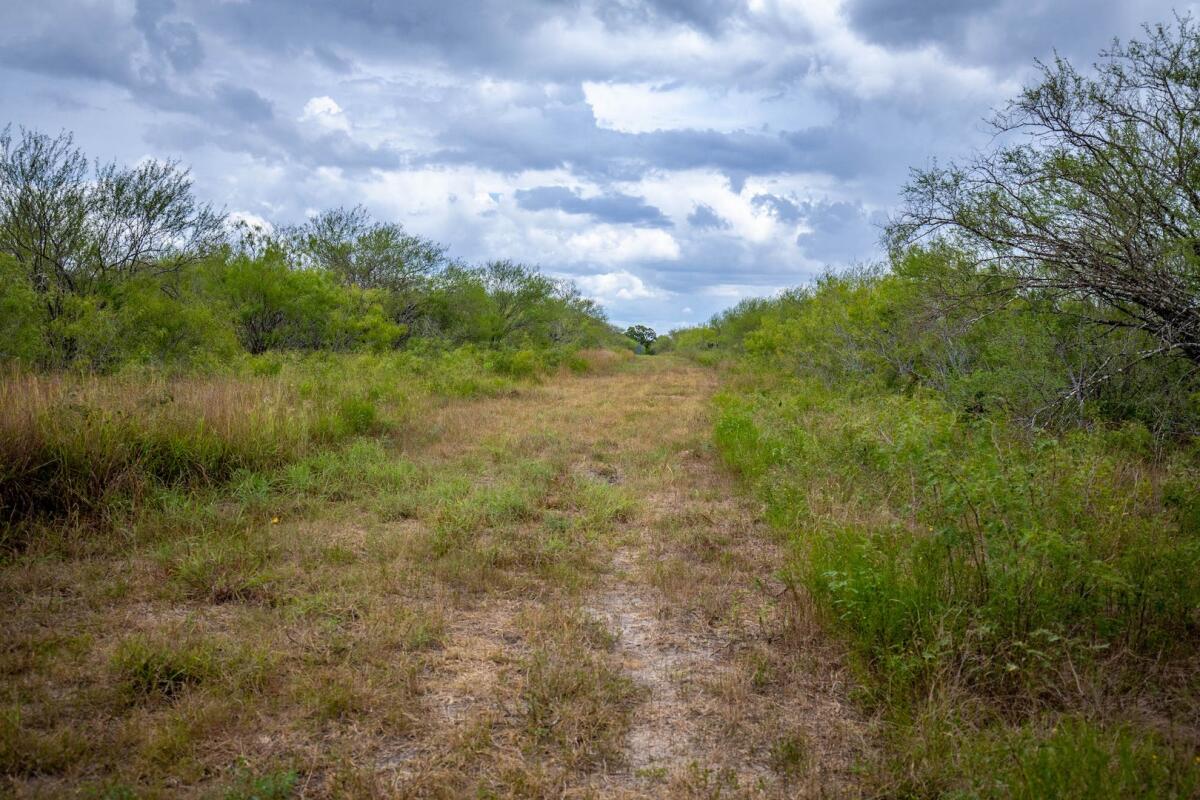 Exotic Hunting Ranch for Sale in Gillett, TX Karnes County Farm & Ranch