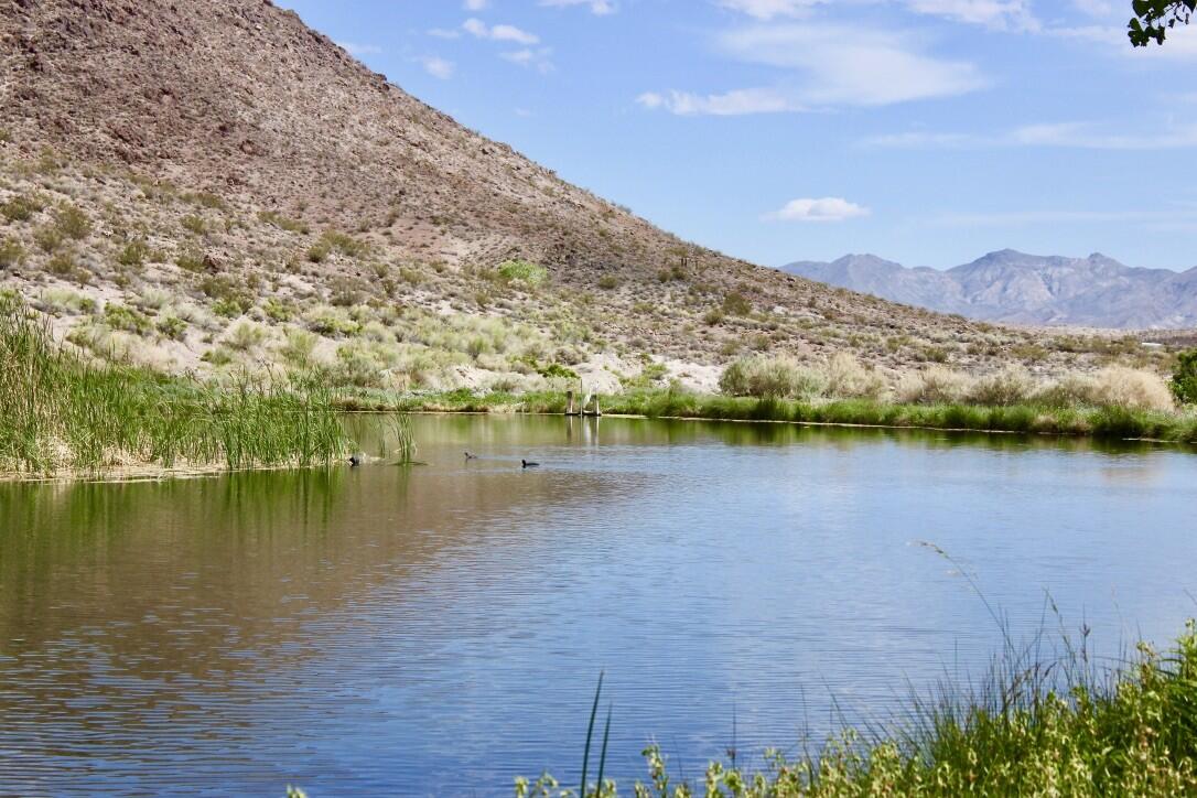 OASIS RANCH in SOUTHERN NEVADA with SPRING WATER RIGHTS! for Sale in Beatty, NV Nye County