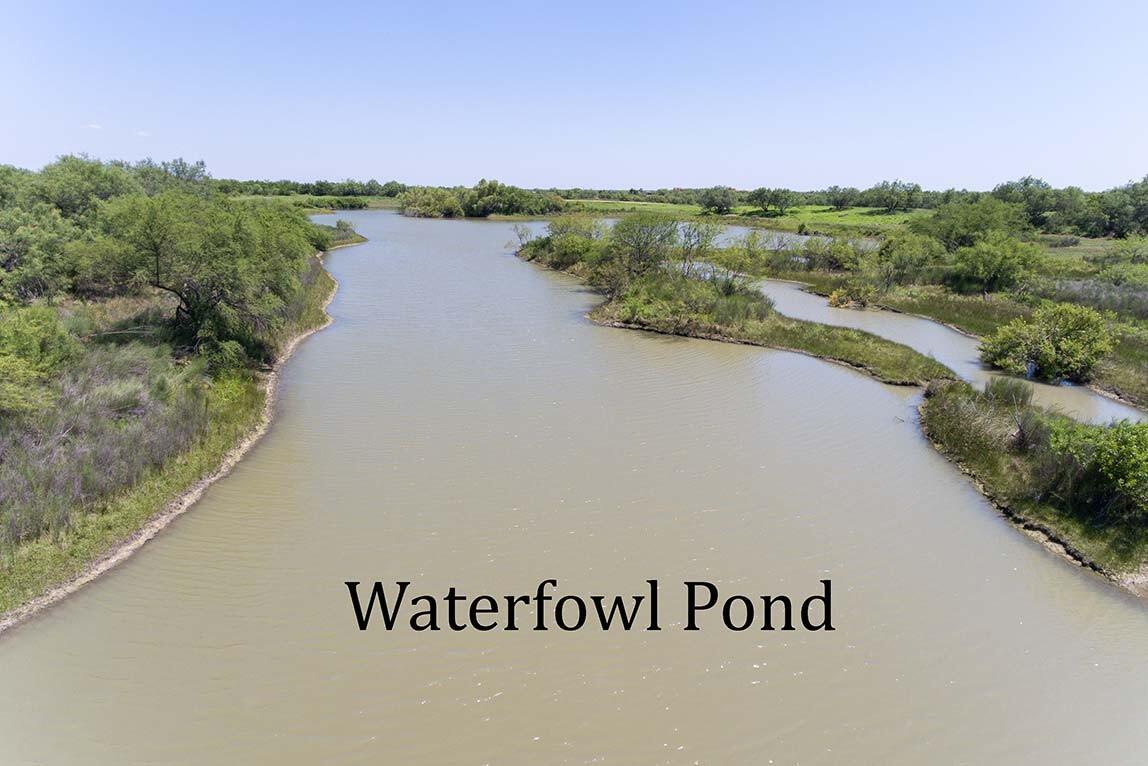 MYANE RANCH Zavala County Texas for Sale in Crystal City, TX Zavala