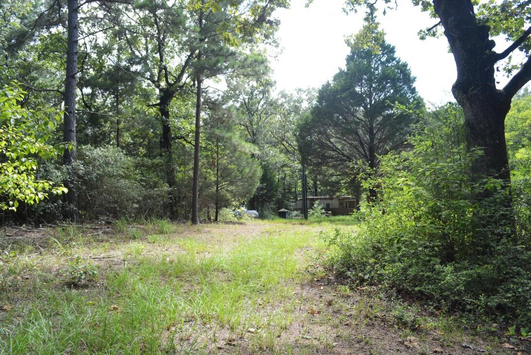 Affordable & Accessible Hunting Land w/ Pond & Utilities for Sale in Fairfield, TX Freestone