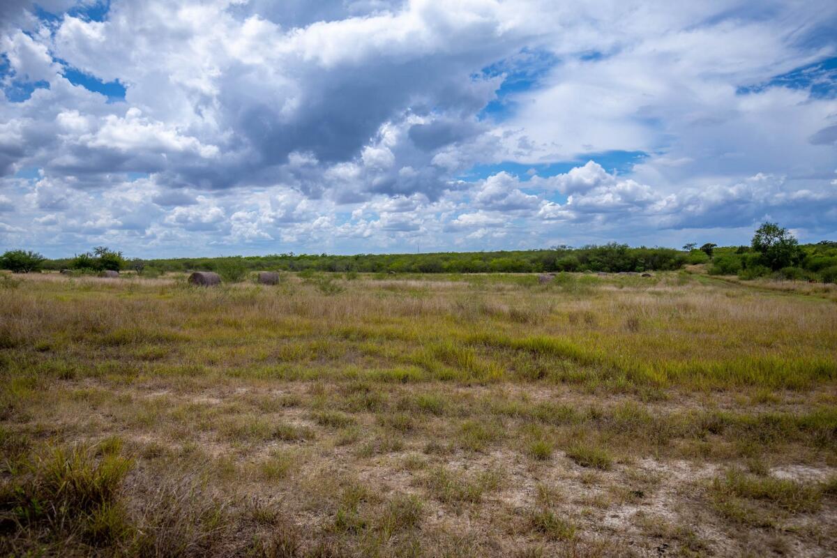 Exotic Hunting Ranch for Sale in Gillett, TX Karnes County Farm & Ranch