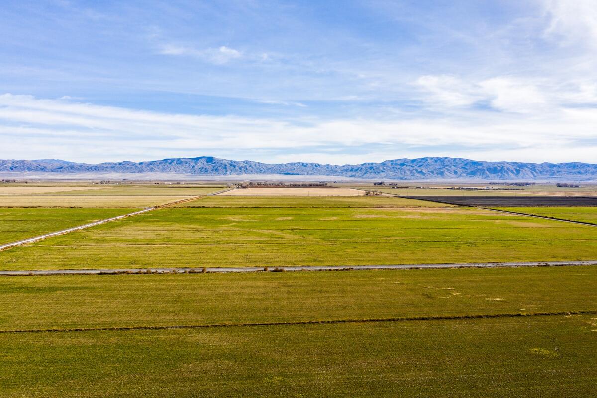 Monroe Land & Livestock for Sale in Lovelock, NV Pershing County