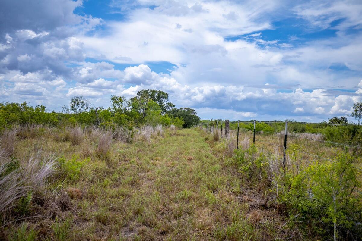 Exotic Hunting Ranch for Sale in Gillett, TX Karnes County Farm & Ranch
