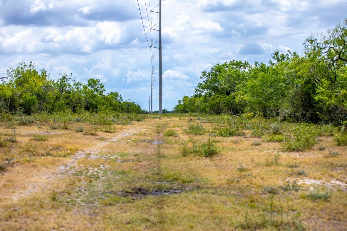 Exotic Hunting Ranch for Sale in Gillett, TX Karnes County Farm & Ranch
