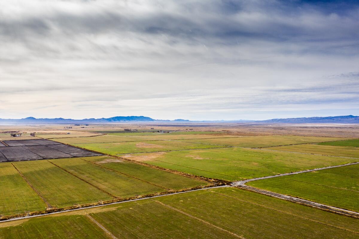 Monroe Land & Livestock for Sale in Lovelock, NV Pershing County