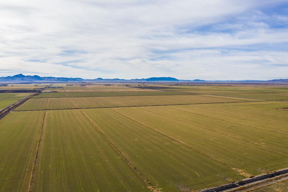 Monroe Land & Livestock for Sale in Lovelock, NV Pershing County