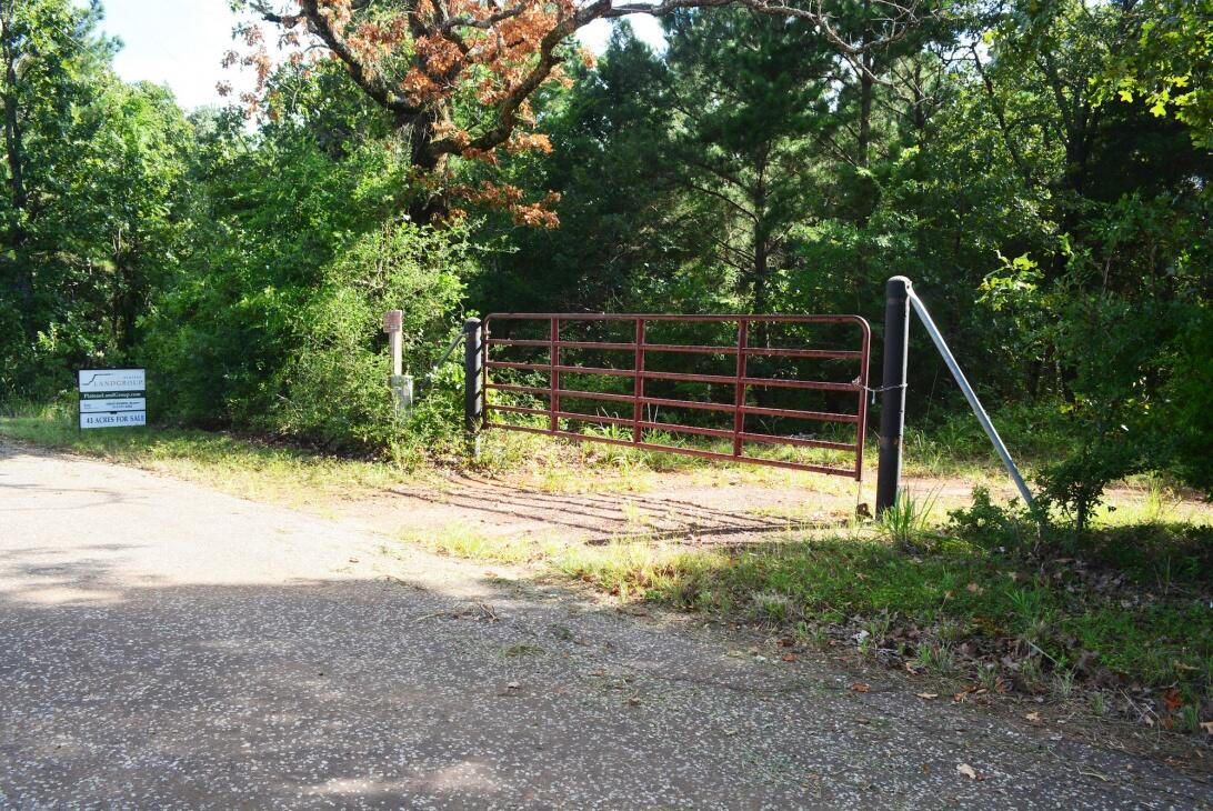 Affordable & Accessible Hunting Land w/ Pond & Utilities for Sale in Fairfield, TX Freestone