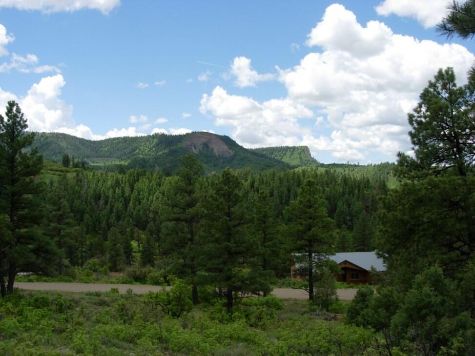 ELK PARK MEADOWS (MLS No. 732409) for Sale in Pagosa Springs, CO Archuleta County Farm & Ranch