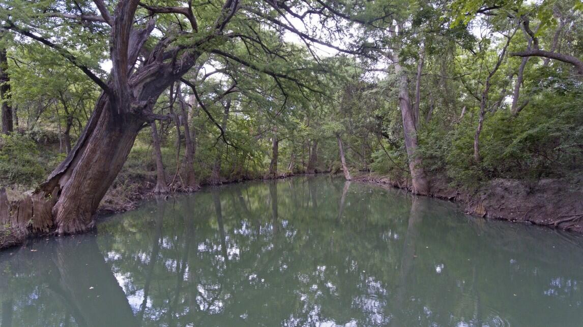 Medina River Ranch for Sale in Rio Medina Farm & Ranch