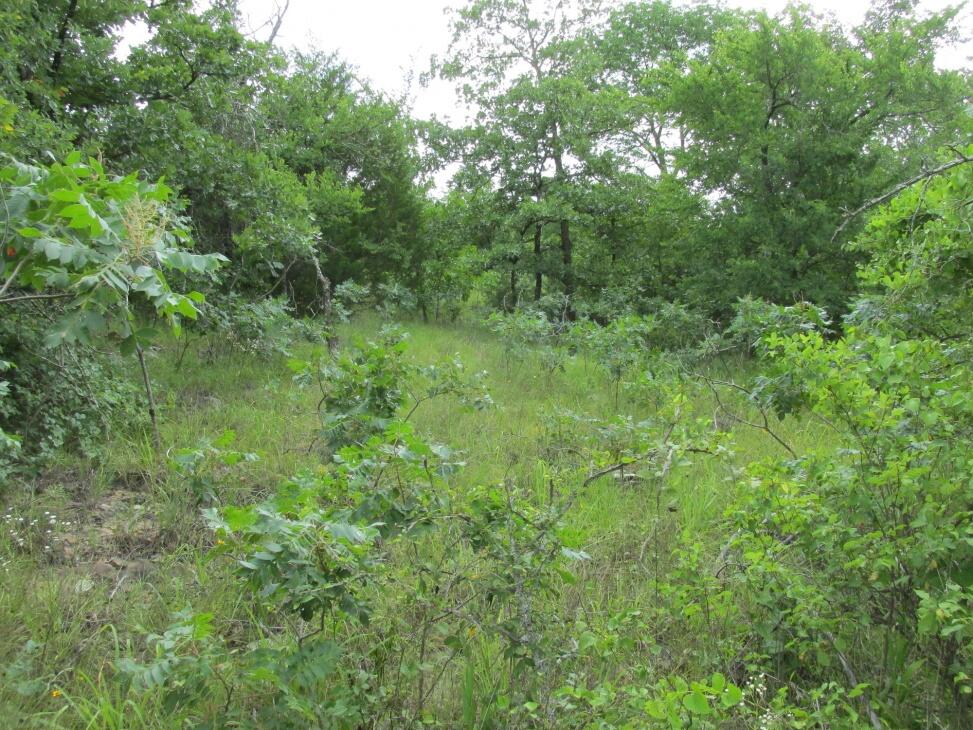 Pocahontas Mountain 30jc for Sale in Haileyville, OK Pittsburg