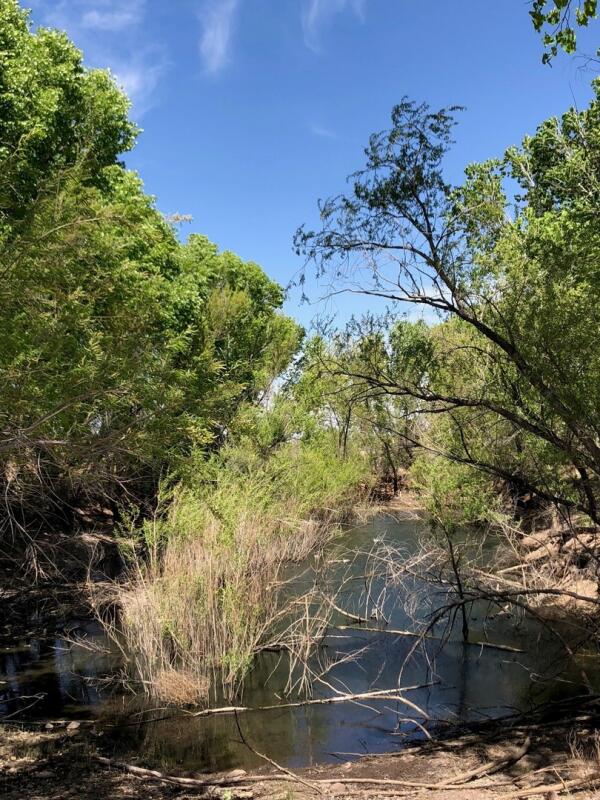 Limpia Creek Duck Pond for Sale in Fort Davis, TX Jeff Davis County Farm & Ranch
