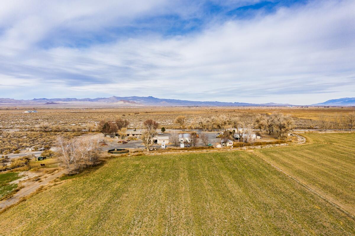 Monroe Land & Livestock for Sale in Lovelock, NV Pershing County