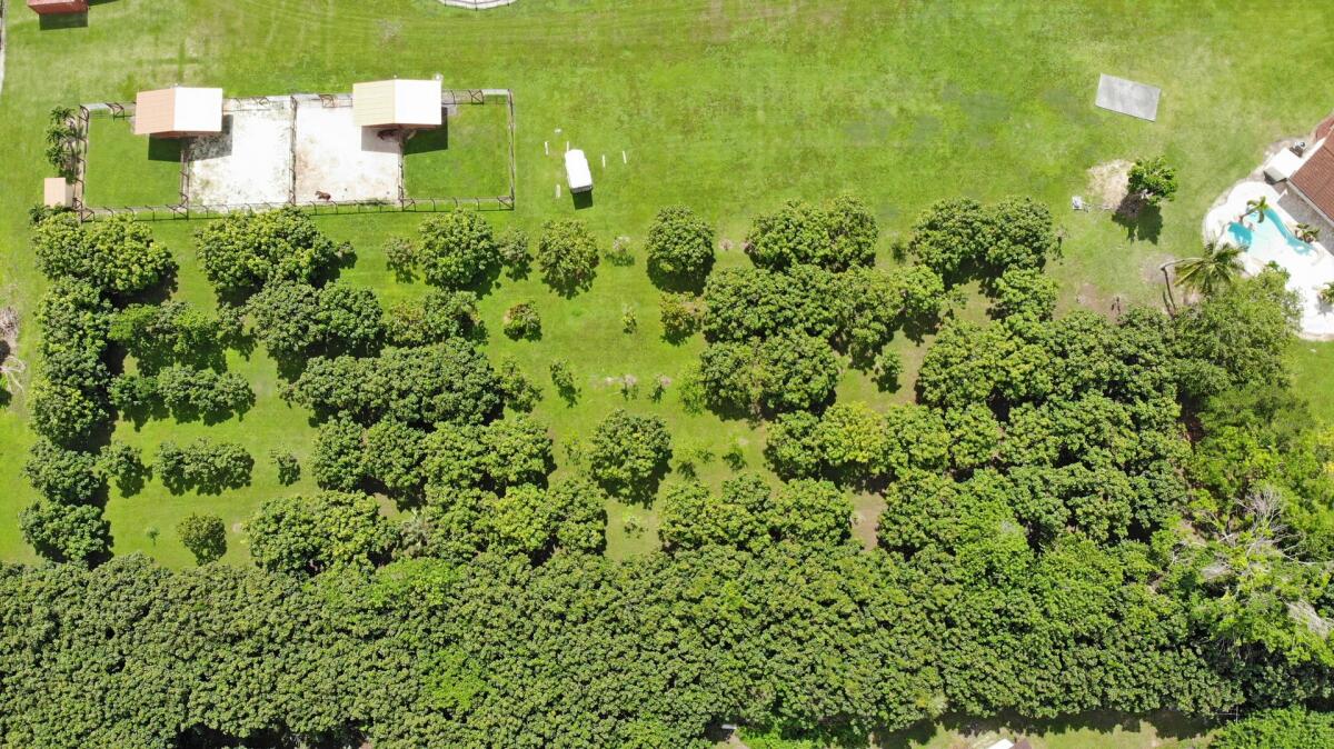 Exquisite Redlands/Bonanzaarea Dream Ranch! for Sale in Homestead, FL
