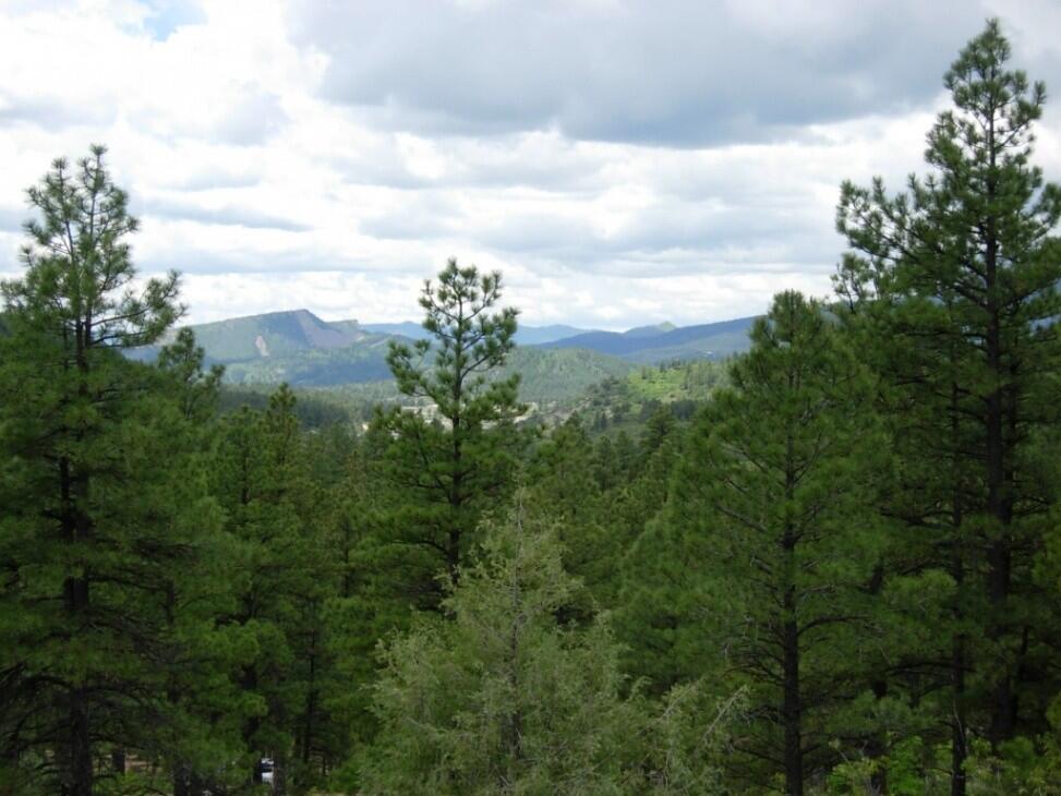 ELK PARK MEADOWS (MLS No. 732409) for Sale in Pagosa Springs, CO Archuleta County Farm & Ranch