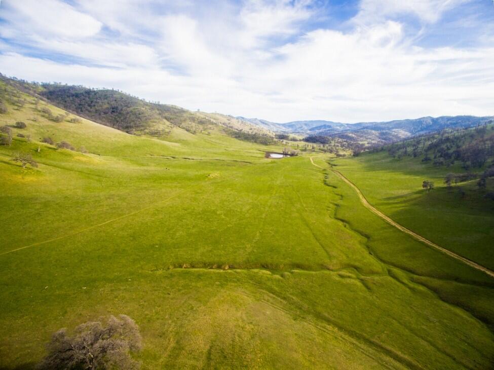 Cortina Ridge West for Sale in Stonyford Farm & Ranch