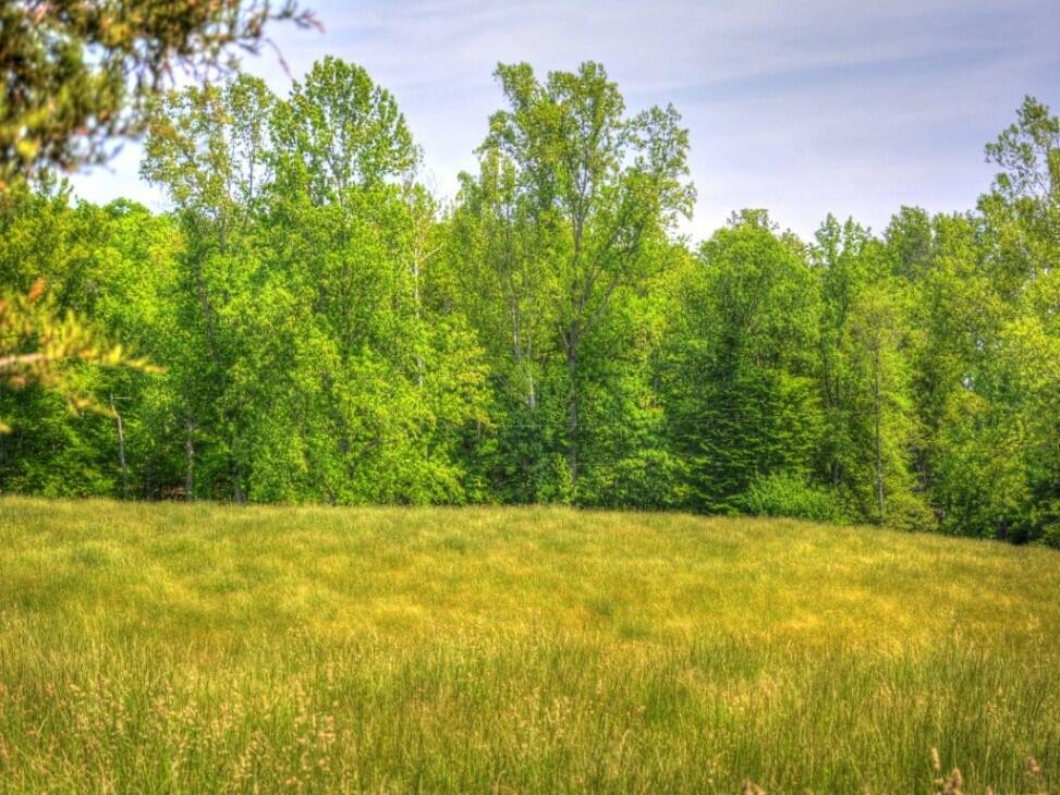 Cobham Forest 50 acres for Sale in Gordonsville, VA Albemarle County