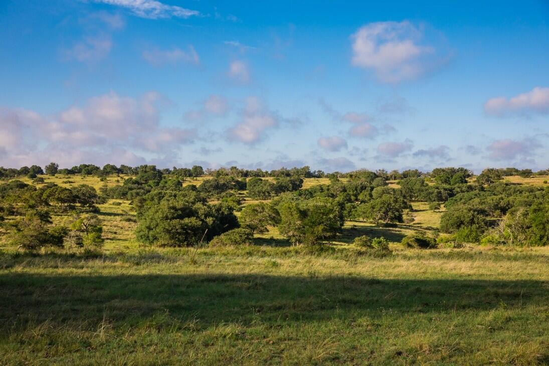 Doss Spring Creek Rd for Sale in Doss, TX Gillespie County Farm & Ranch