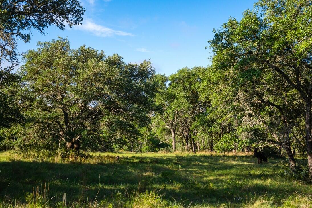 Doss Spring Creek Rd for Sale in Doss, TX Gillespie County Farm & Ranch