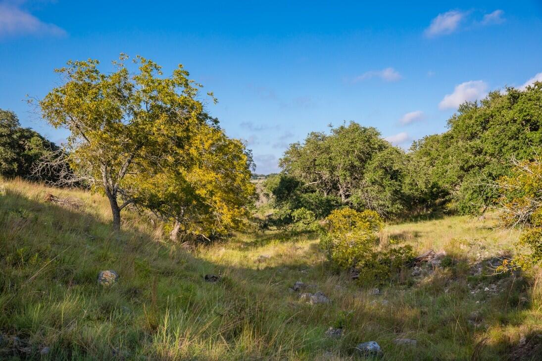 Doss Spring Creek Rd for Sale in Doss, TX Gillespie County Farm & Ranch