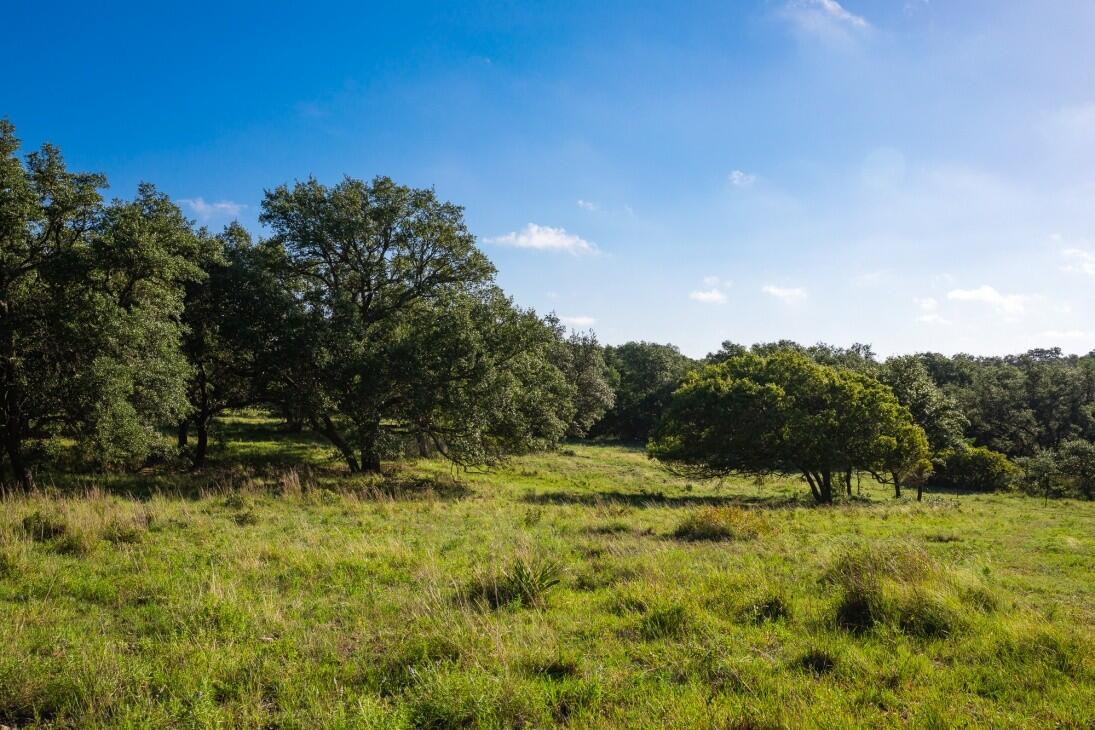 Doss Spring Creek Rd for Sale in Doss, TX Gillespie County Farm & Ranch