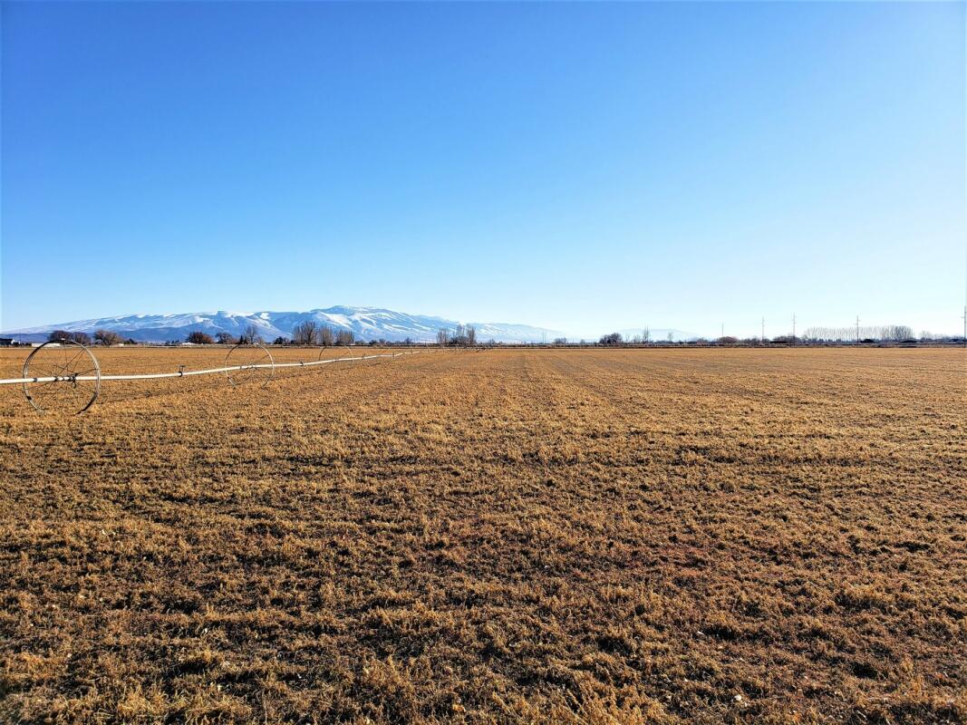 Land in Heyburn for Sale for Sale in Heyburn, ID Farm & Ranch