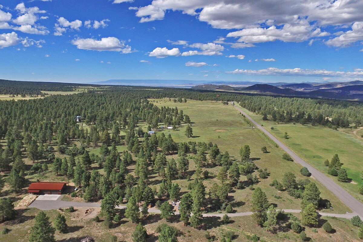Whispering Pines for Sale in Ridgway, CO Ouray County Farm & Ranch