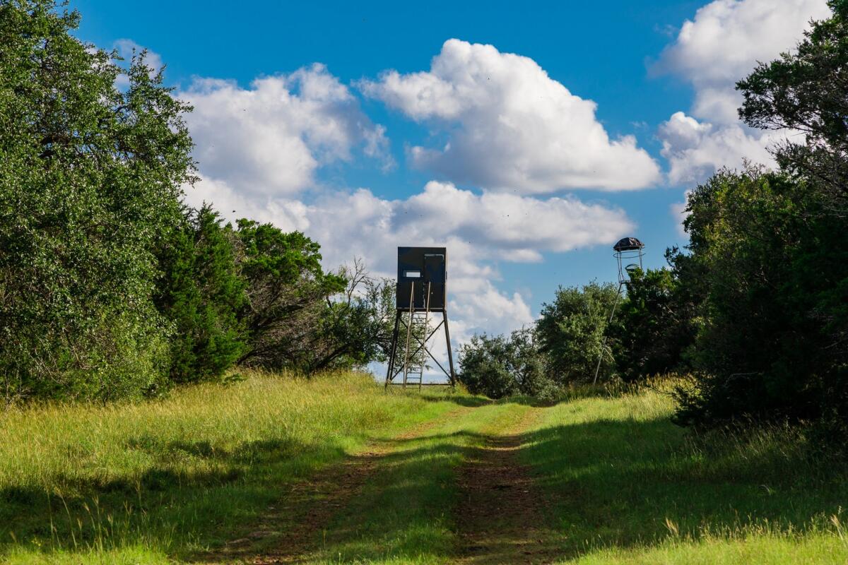 Hondo Creek Ranch for Sale in Hondo, TX Medina County Farm & Ranch