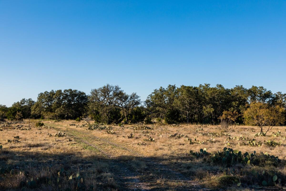 Paradise Ranch for Sale in Sonora, TX Sutton County Farm & Ranch