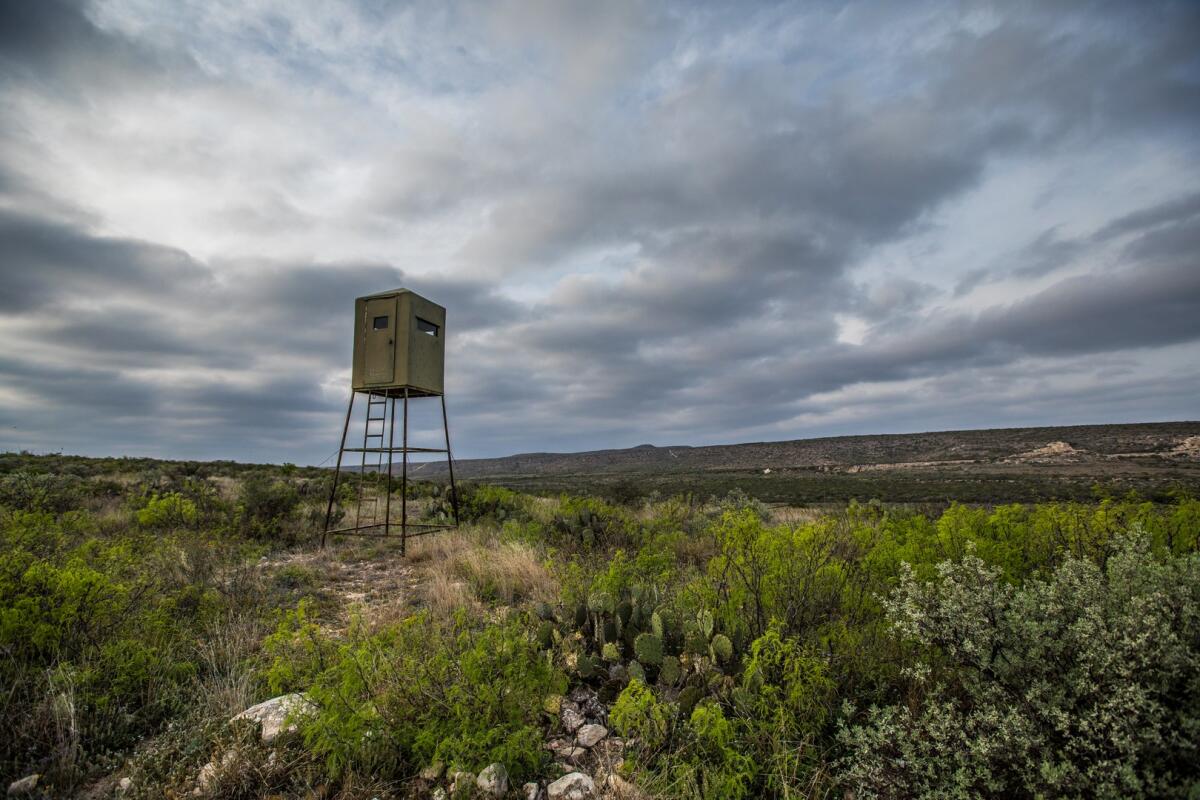 Sanderson Creek Ranch for Sale in Sanderson, TX Terrell County Farm