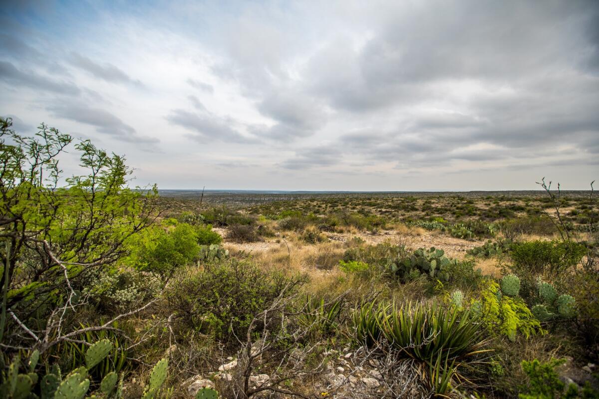 Sanderson Creek Ranch for Sale in Sanderson, TX Terrell County Farm
