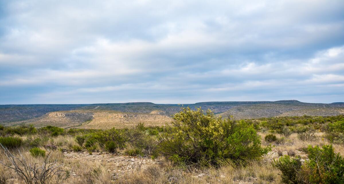 Sanderson Creek Ranch for Sale in Sanderson, TX Terrell County Farm
