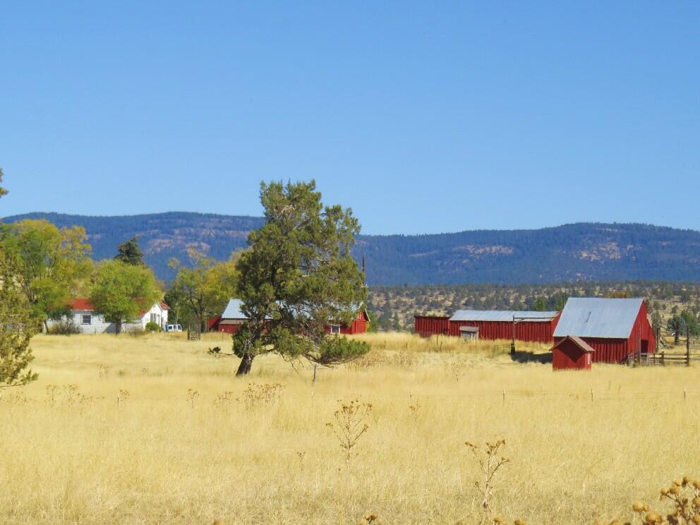 Red Barn Ranch for Sale in Adin, CA Lassen County Farm & Ranch