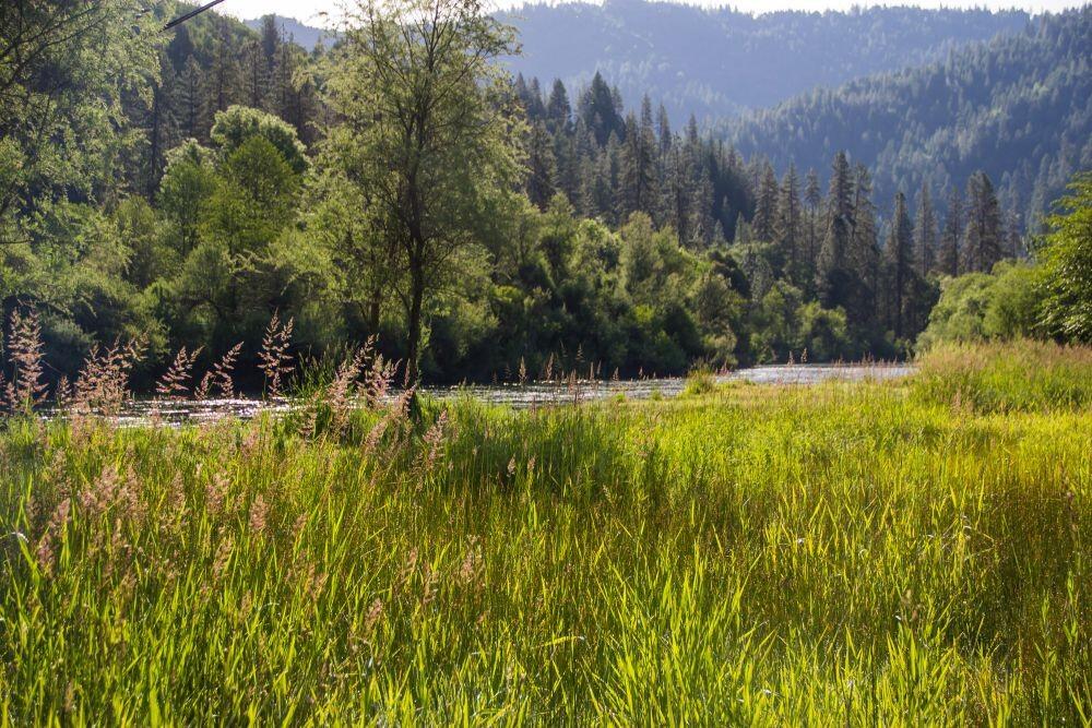 Indian Creek Lodge for Sale in Douglas City, CA Trinity County Farm