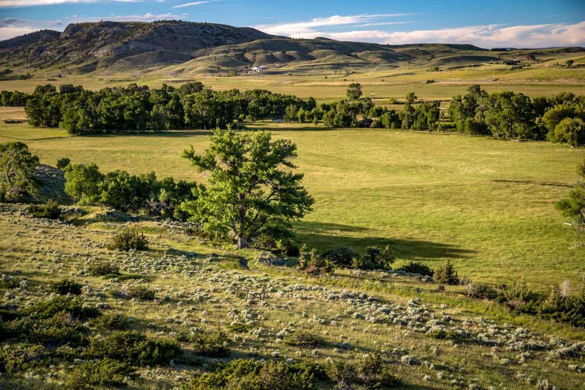 Big Timber Creek Ranch for Sale in Big Timber, MT Sweet Grass County Farm & Ranch