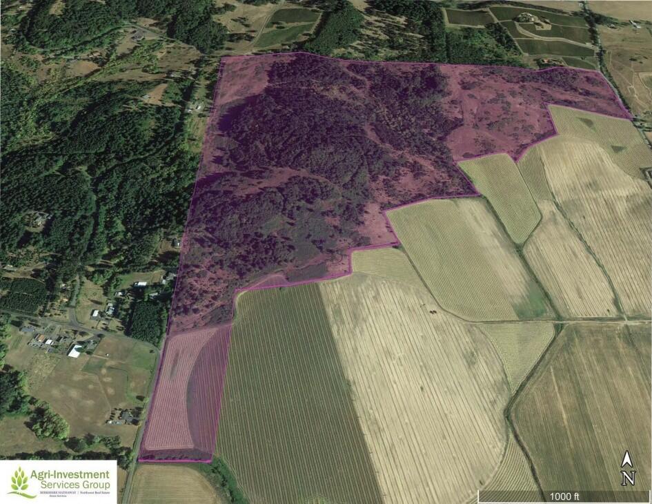 Willamette Valley Vineyard Site for Sale in , OR Yamhill County Farm & Ranch