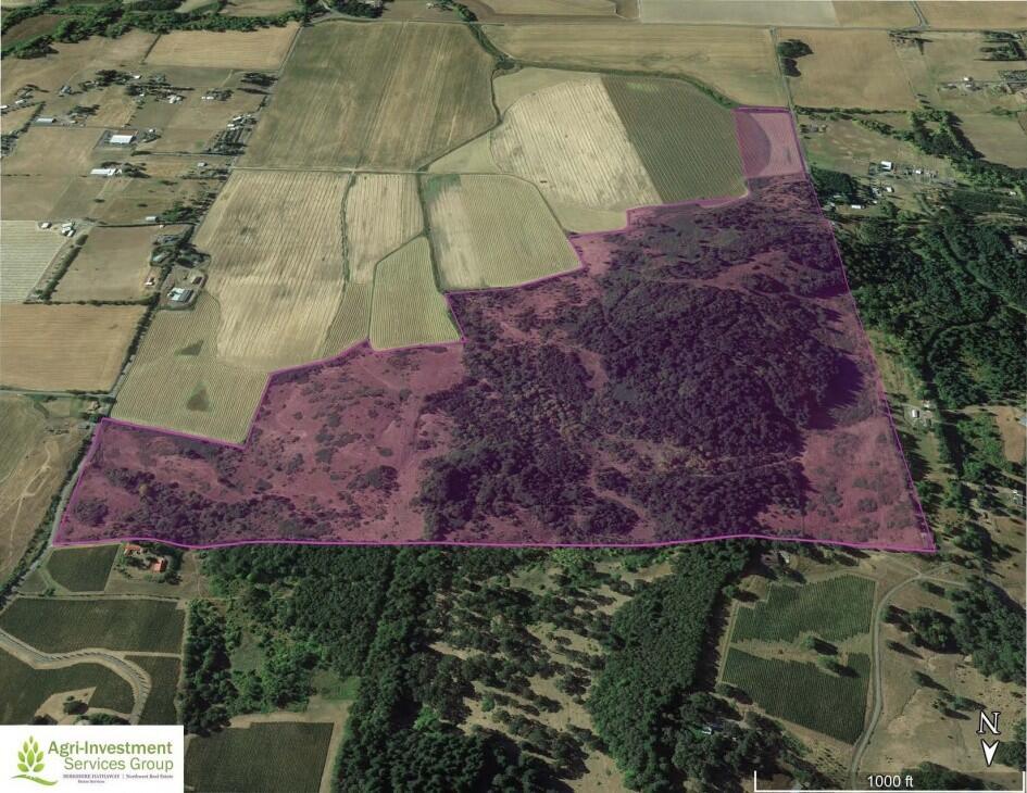 Willamette Valley Vineyard Site for Sale in , OR Yamhill County Farm & Ranch