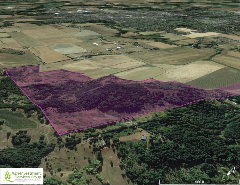 Willamette Valley Vineyard Land For Sale at Charles Krumm blog