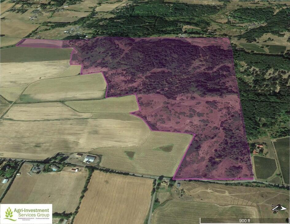 Willamette Valley Vineyard Site for Sale in , OR Yamhill County Farm & Ranch