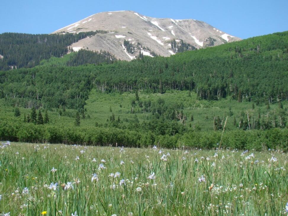 La Sal Ranch for Sale in Moab, UT Grand County Farm & Ranch